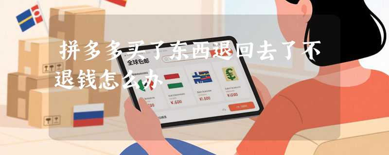 拼多多买了东西退回去了不退钱怎么办