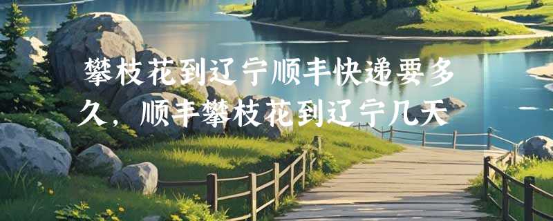 攀枝花到辽宁顺丰快递要多久，顺丰攀枝花到辽宁几天