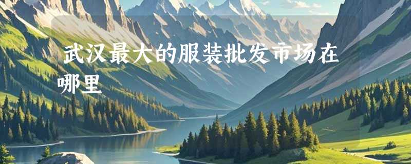武汉最大的服装批发市场在哪里