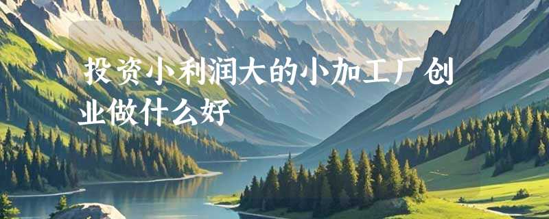 投资小利润大的小加工厂创业做什么好
