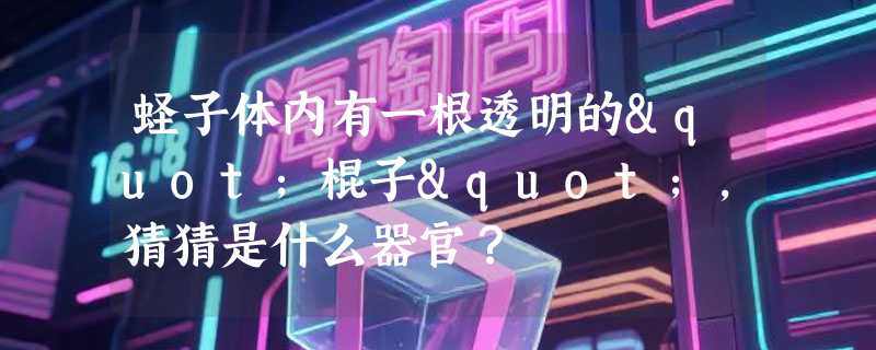 蛏子体内有一根透明的"棍子"，猜猜是什么器官？