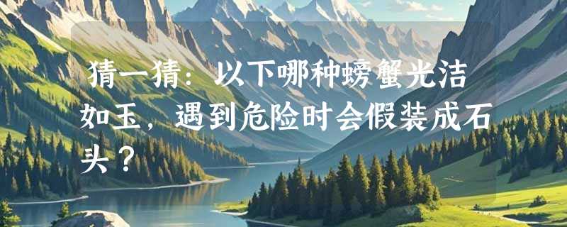 猜一猜：以下哪种螃蟹光洁如玉，遇到危险时会假装成石头？