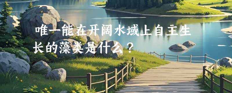 唯一能在开阔水域上自主生长的藻类是什么？