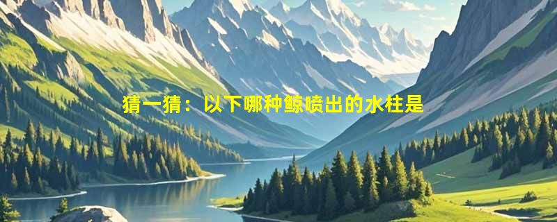 猜一猜：以下哪种鲸喷出的水柱是双股的？