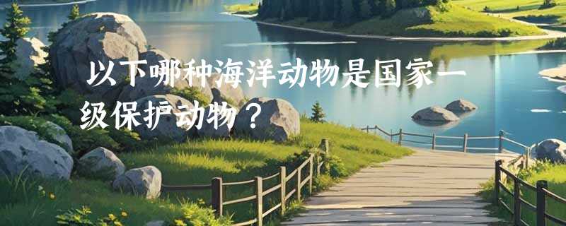 以下哪种海洋动物是国家一级保护动物？