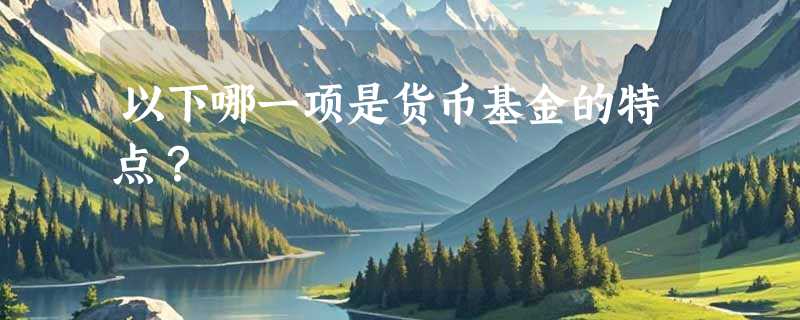 以下哪一项是货币基金的特点？