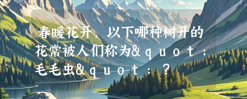 春暖花开，以下哪种树开的花常被人们称为"毛毛虫"？
