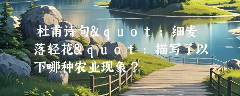 杜甫诗句"细麦落轻花"描写了以下哪种农业现象？