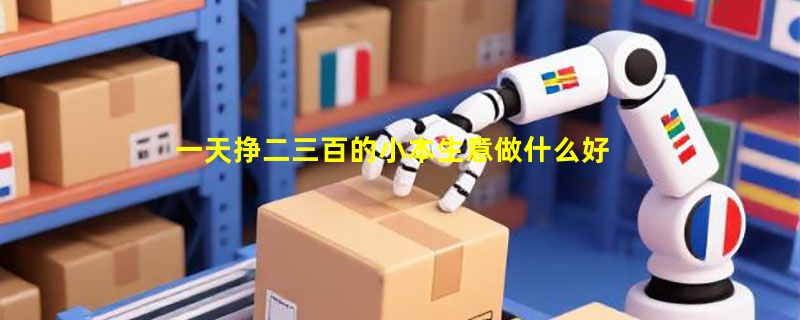 一天挣二三百的小本生意做什么好