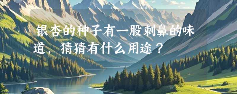 银杏的种子有一股刺鼻的味道，猜猜有什么用途？