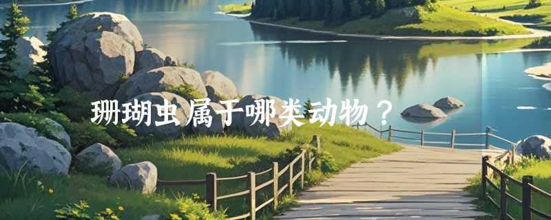 珊瑚虫属于哪类动物？