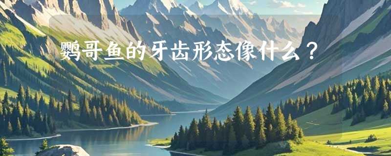 鹦哥鱼的牙齿形态像什么？
