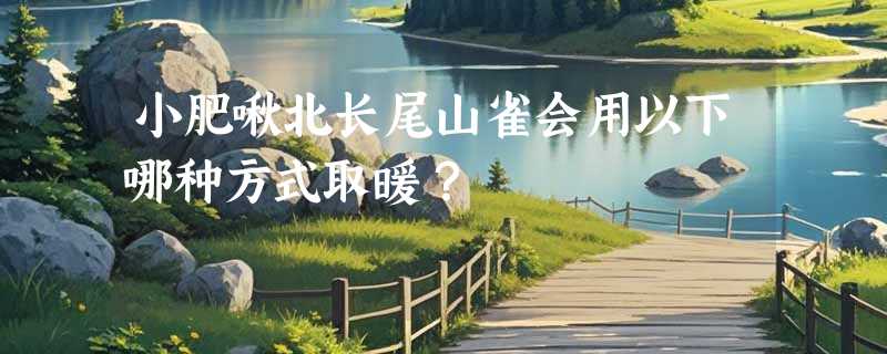 小肥啾北长尾山雀会用以下哪种方式取暖？