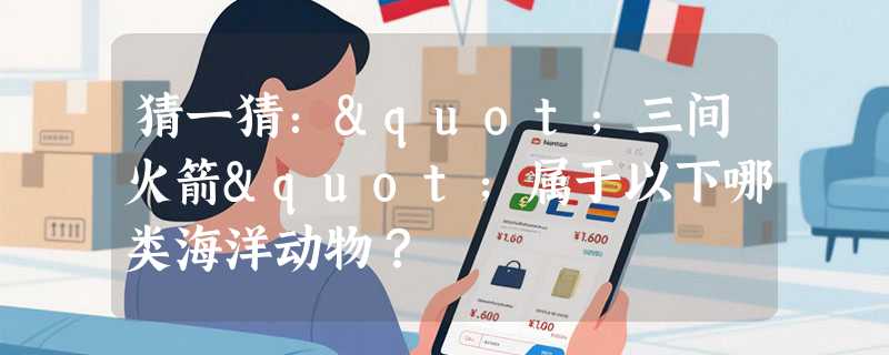 猜一猜："三间火箭"属于以下哪类海洋动物？