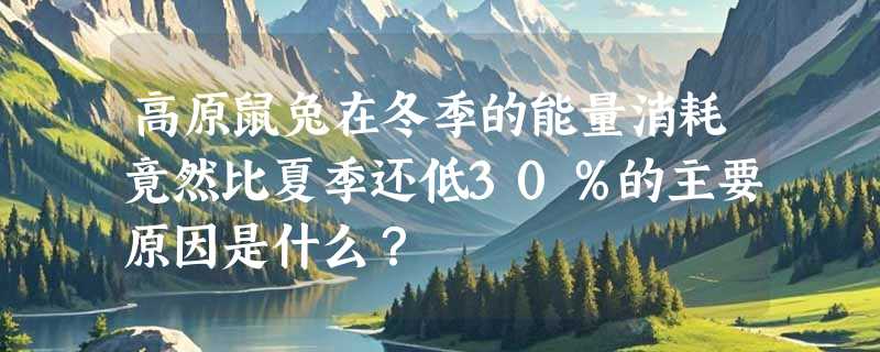 高原鼠兔在冬季的能量消耗竟然比夏季还低30％的主要原因是什么？