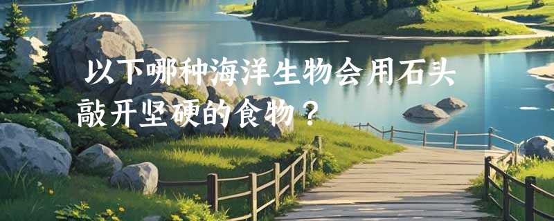 以下哪种海洋生物会用石头敲开坚硬的食物？