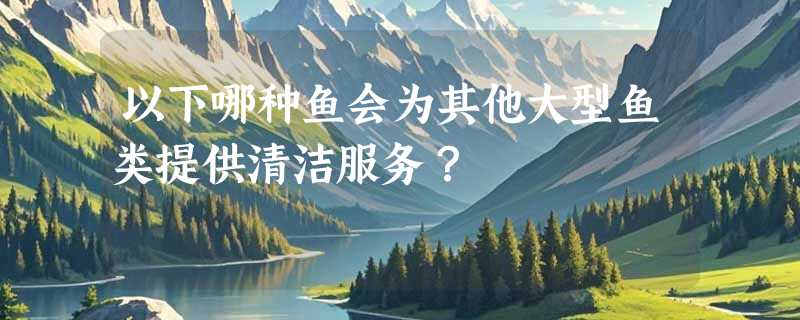 以下哪种鱼会为其他大型鱼类提供清洁服务？