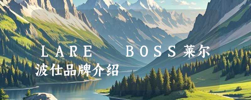 LARE BOSS莱尔波仕品牌介绍