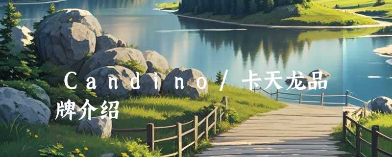 Candino/卡天龙品牌介绍