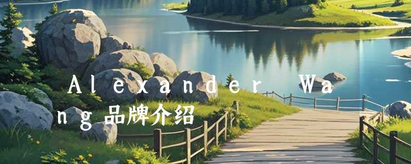 Alexander Wang品牌介绍