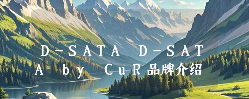 D-SATA D-SATA by CuR品牌介绍
