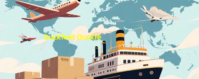 Duckfeet Duckfeet品牌介绍