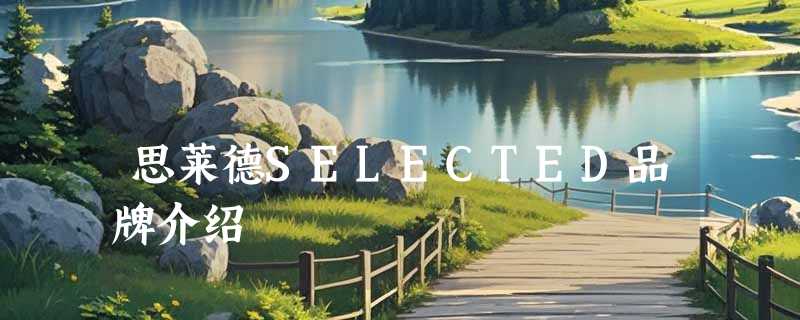 思莱德SELECTED品牌介绍