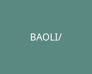 BAOLI/宝丽官方旗舰店