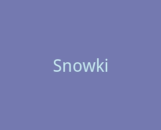 Snowkids官方旗舰店