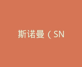 斯诺曼（SNOWMAN）羽绒家纺官方旗舰店