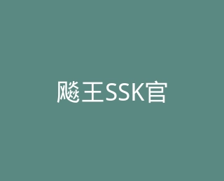 飚王SSK官方旗舰店