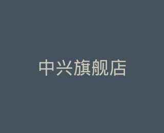 中兴旗舰店
