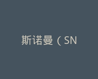 斯诺曼（SNOWMAN）羽绒家纺旗舰店