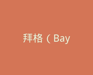 拜格（Bayco）旗舰店